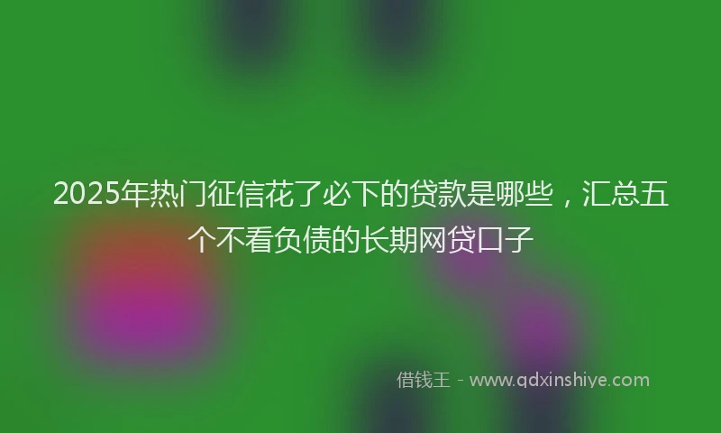 2025年热门征信花了必下的贷款是哪些，汇总五个不看负债的长期网贷口子