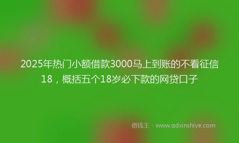 2025年热门小额借款3000马上到账的不看征信18，概括五个18岁必下款的网贷口子