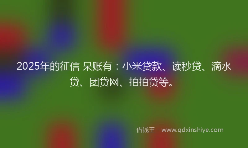 2025年的征信 呆账有：小米贷款、读秒贷、滴水贷、团贷网、拍拍贷等。