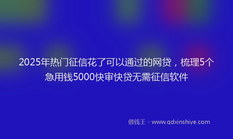 2025年热门征信花了可以通过的网贷，梳理5个急用钱5000快审快贷无需征信软件