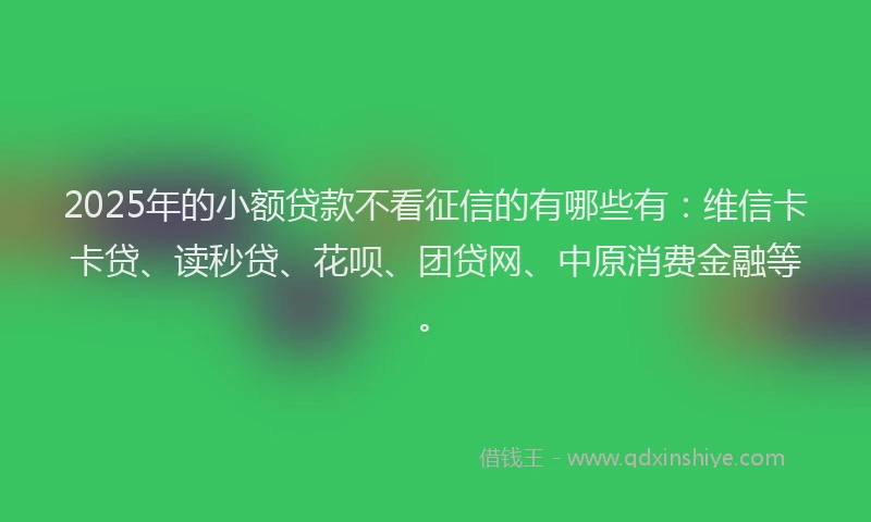 2025年的小额贷款不看征信的有哪些有：维信卡卡贷、读秒贷、花呗、团贷网、中原消费金融等。