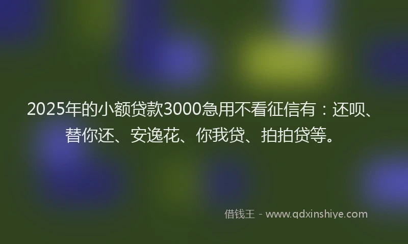 2025年的小额贷款3000急用不看征信有：还呗、替你还、安逸花、你我贷、拍拍贷等。