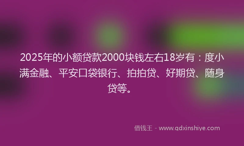 2025年的小额贷款2000块钱左右18岁有：度小满金融、平安口袋银行、拍拍贷、好期贷、随身贷等。