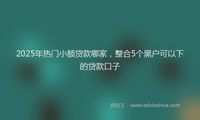 2025年热门小额贷款哪家，整合5个黑户可以下的贷款口子