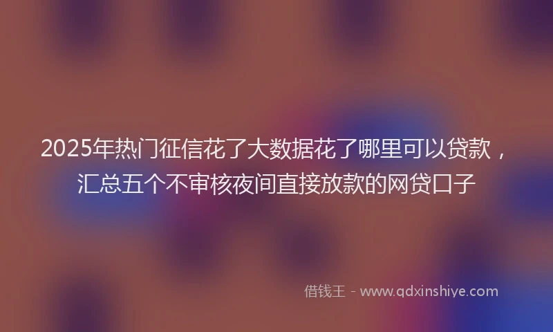 2025年热门征信花了大数据花了哪里可以贷款，汇总五个不审核夜间直接放款的网贷口子