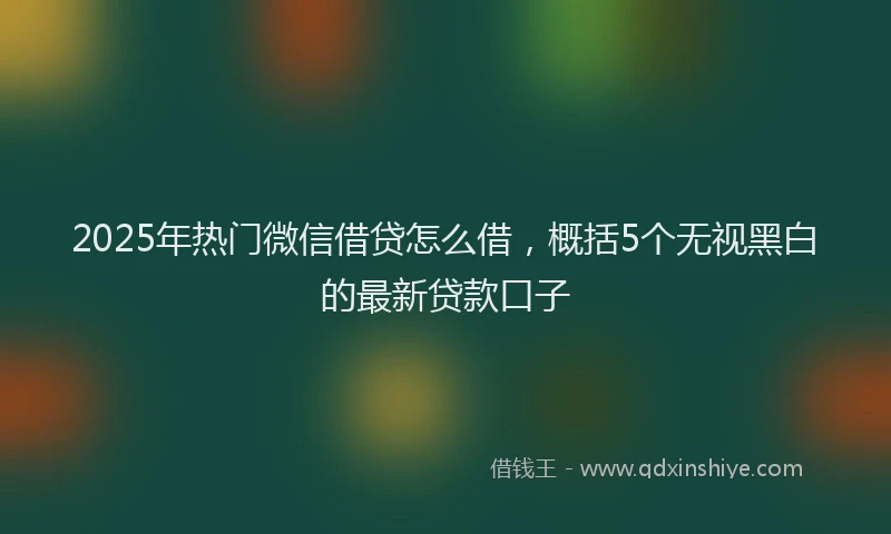 2025年热门微信借贷怎么借，概括5个无视黑白的最新贷款口子