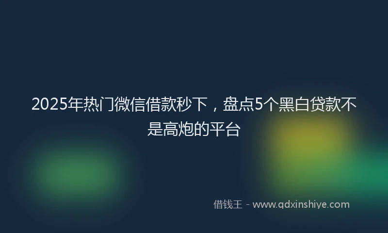 2025年热门微信借款秒下，盘点5个黑白贷款不是高炮的平台