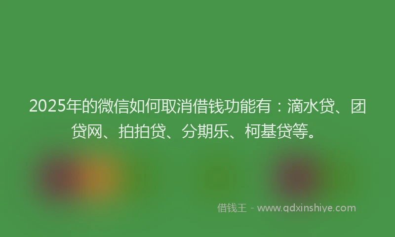 2025年的微信如何取消借钱功能有：滴水贷、团贷网、拍拍贷、分期乐、柯基贷等。