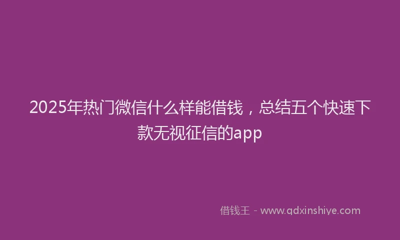 2025年热门微信什么样能借钱，总结五个快速下款无视征信的app