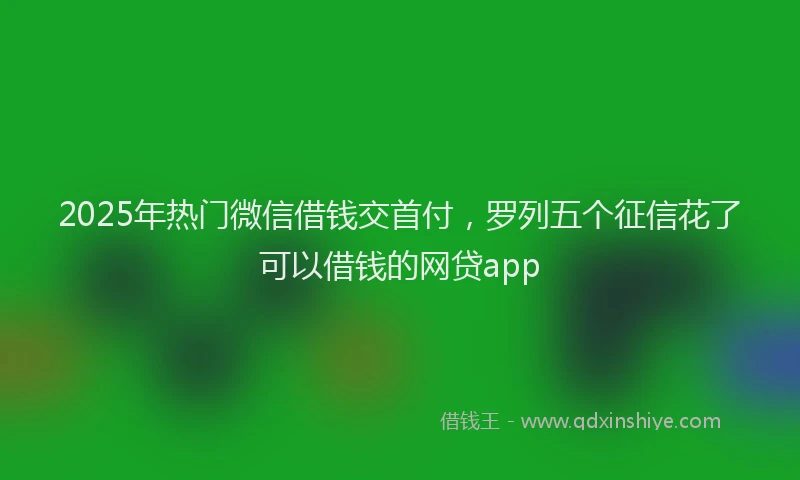 2025年热门微信借钱交首付，罗列五个征信花了可以借钱的网贷app