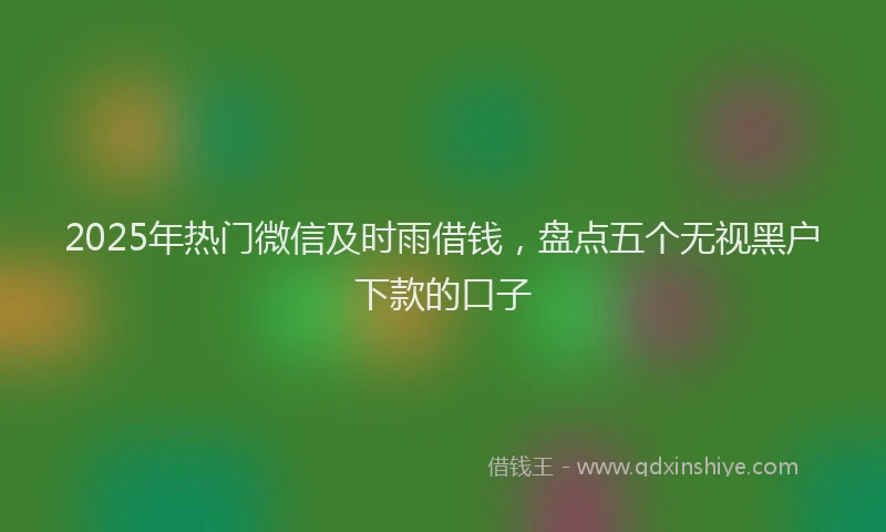 2025年热门微信及时雨借钱，盘点五个无视黑户下款的口子