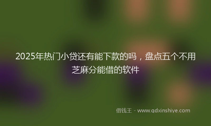 2025年热门小贷还有能下款的吗，盘点五个不用芝麻分能借的软件