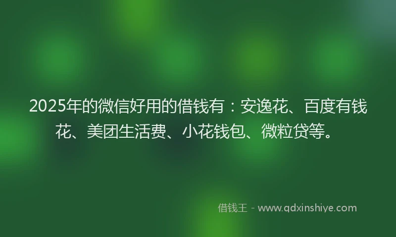 2025年的微信好用的借钱有：安逸花、百度有钱花、美团生活费、小花钱包、微粒贷等。