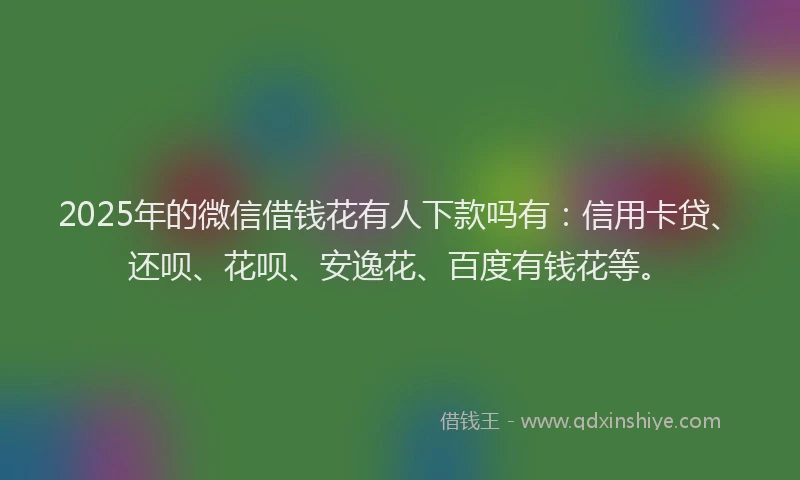 2025年的微信借钱花有人下款吗有：信用卡贷、还呗、花呗、安逸花、百度有钱花等。
