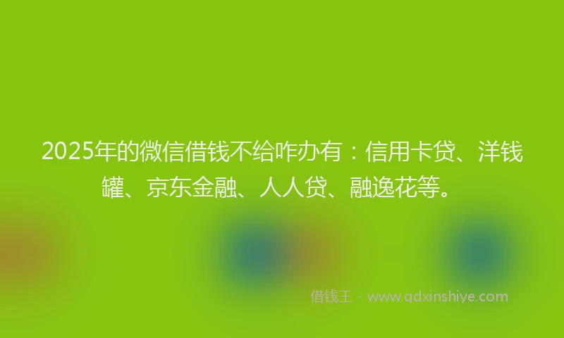 2025年的微信借钱不给咋办有：信用卡贷、洋钱罐、京东金融、人人贷、融逸花等。