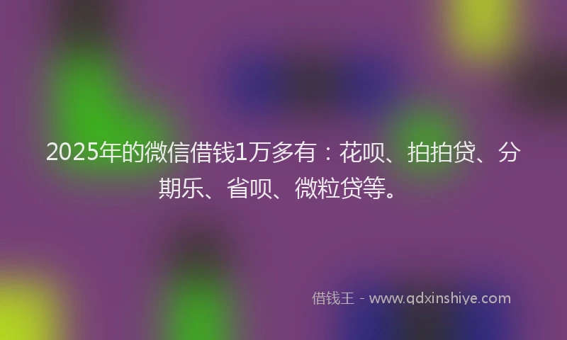 2025年的微信借钱1万多有：花呗、拍拍贷、分期乐、省呗、微粒贷等。