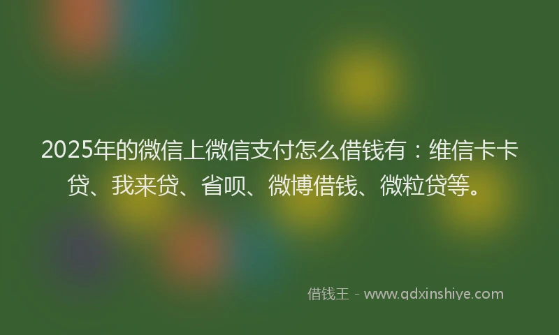 2025年的微信上微信支付怎么借钱有：维信卡卡贷、我来贷、省呗、微博借钱、微粒贷等。