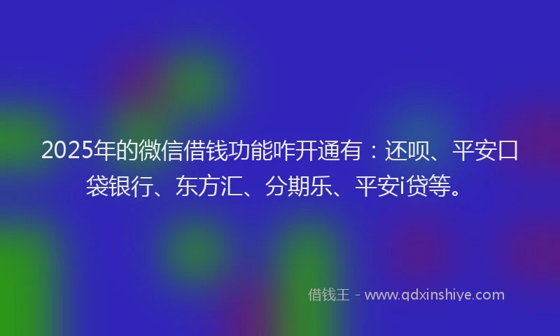 2025年的微信借钱功能咋开通有：还呗、平安口袋银行、东方汇、分期乐、平安i贷等。