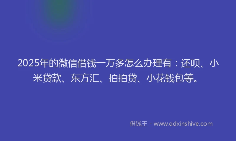 2025年的微信借钱一万多怎么办理有：还呗、小米贷款、东方汇、拍拍贷、小花钱包等。
