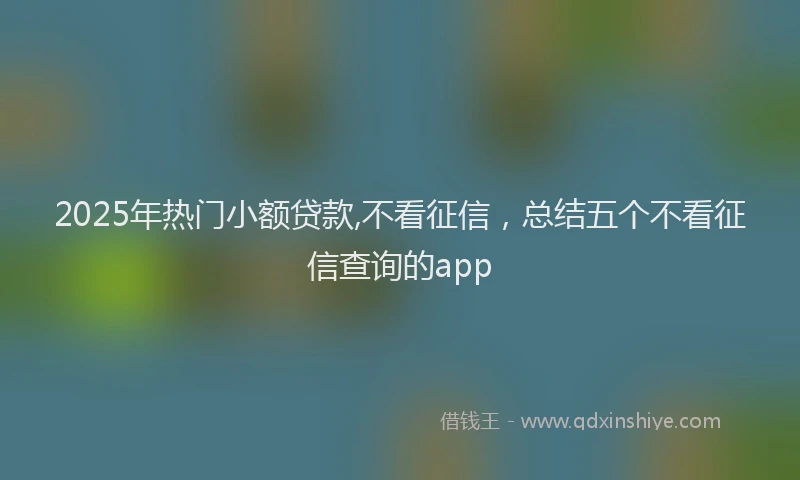 2025年热门小额贷款,不看征信，总结五个不看征信查询的app