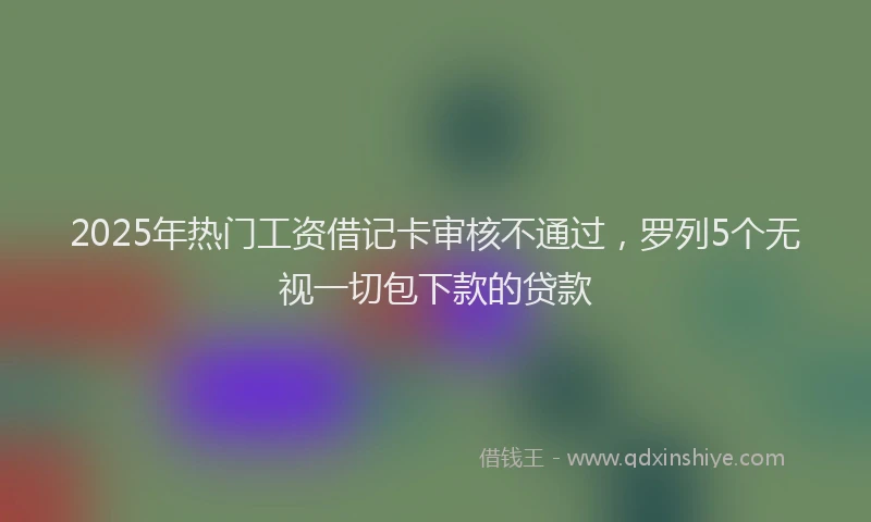 2025年热门工资借记卡审核不通过，罗列5个无视一切包下款的贷款