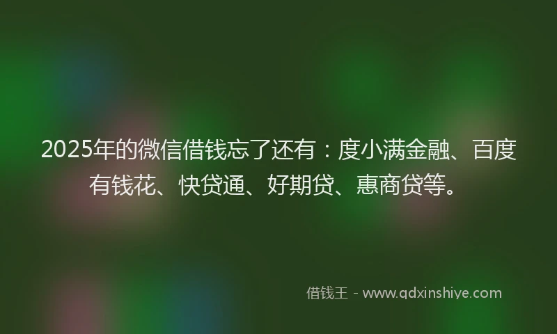 2025年的微信借钱忘了还有：度小满金融、百度有钱花、快贷通、好期贷、惠商贷等。