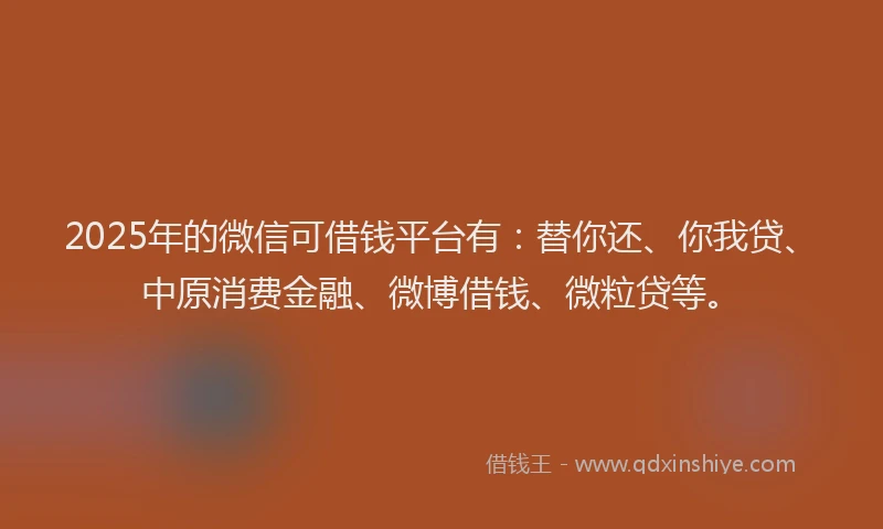 2025年的微信可借钱平台有：替你还、你我贷、中原消费金融、微博借钱、微粒贷等。