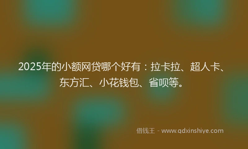 2025年的小额网贷哪个好有：拉卡拉、超人卡、东方汇、小花钱包、省呗等。
