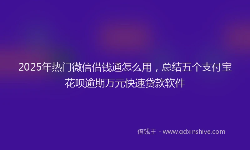2025年热门微信借钱通怎么用，总结五个支付宝花呗逾期万元快速贷款软件