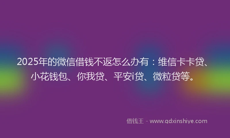 2025年的微信借钱不返怎么办有：维信卡卡贷、小花钱包、你我贷、平安i贷、微粒贷等。