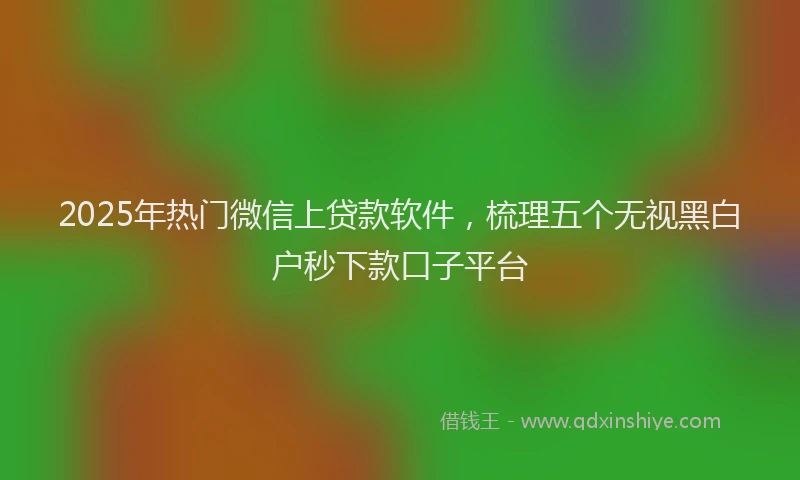2025年热门微信上贷款软件，梳理五个无视黑白户秒下款口子平台