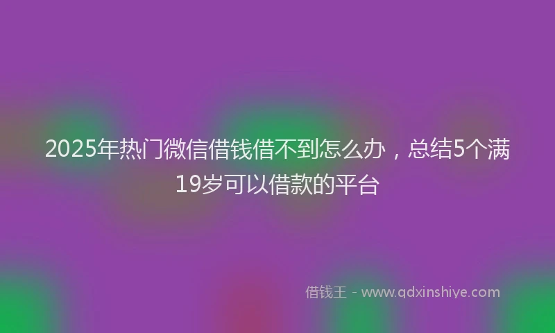 2025年热门微信借钱借不到怎么办，总结5个满19岁可以借款的平台
