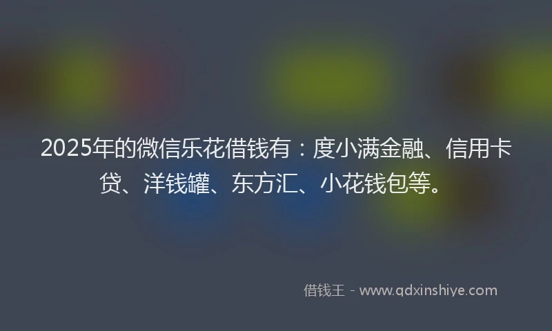 2025年的微信乐花借钱有：度小满金融、信用卡贷、洋钱罐、东方汇、小花钱包等。