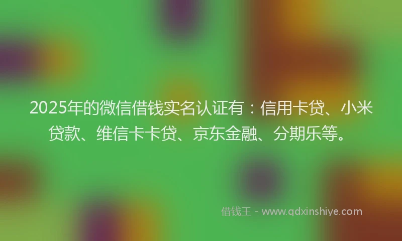 2025年的微信借钱实名认证有：信用卡贷、小米贷款、维信卡卡贷、京东金融、分期乐等。