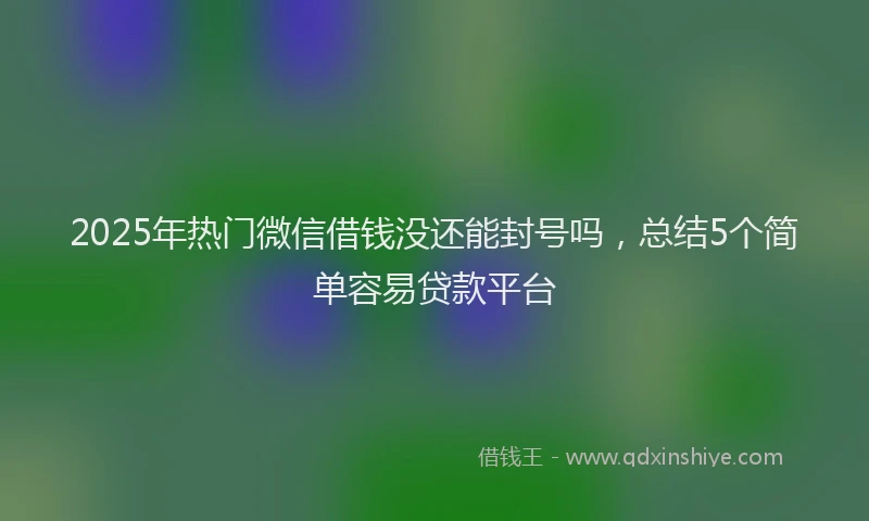 2025年热门微信借钱没还能封号吗，总结5个简单容易贷款平台
