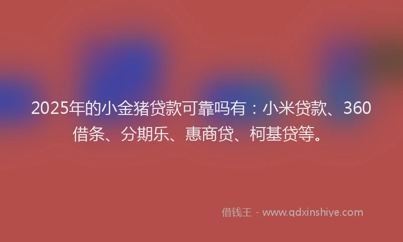 2025年的小金猪贷款可靠吗有：小米贷款、360借条、分期乐、惠商贷、柯基贷等。