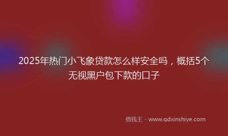 2025年热门小飞象贷款怎么样安全吗，概括5个无视黑户包下款的口子