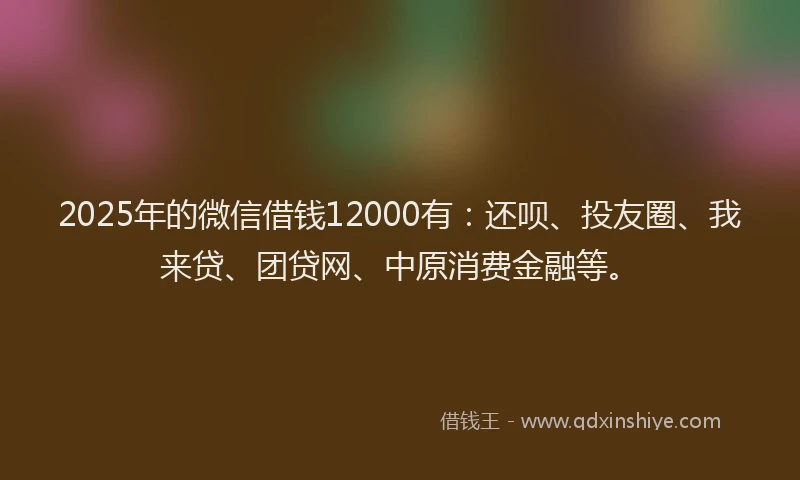2025年的微信借钱12000有：还呗、投友圈、我来贷、团贷网、中原消费金融等。