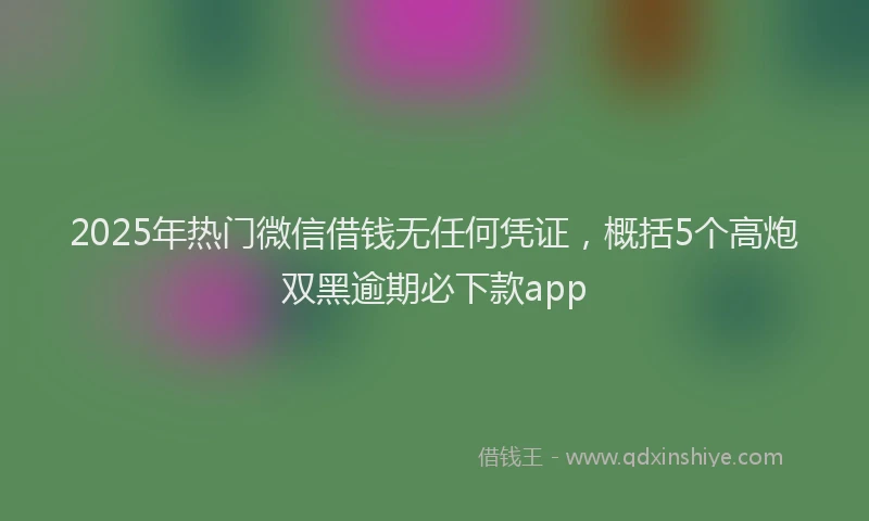 2025年热门微信借钱无任何凭证，概括5个高炮双黑逾期必下款app