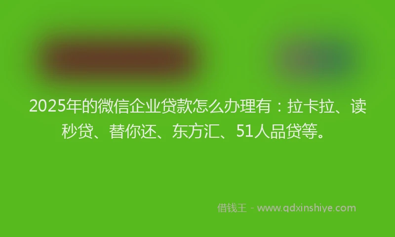 2025年的微信企业贷款怎么办理有：拉卡拉、读秒贷、替你还、东方汇、51人品贷等。