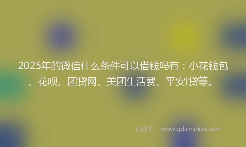 2025年的微信什么条件可以借钱吗有：小花钱包、花呗、团贷网、美团生活费、平安i贷等。