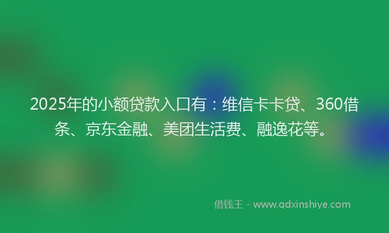 2025年的小额贷款入口有：维信卡卡贷、360借条、京东金融、美团生活费、融逸花等。
