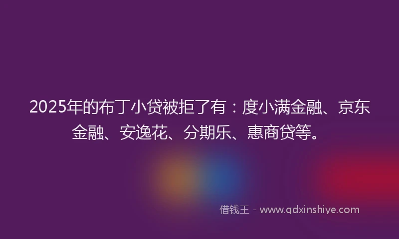 2025年的布丁小贷被拒了有：度小满金融、京东金融、安逸花、分期乐、惠商贷等。