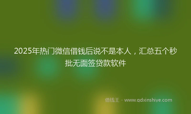 2025年热门微信借钱后说不是本人，汇总五个秒批无面签贷款软件