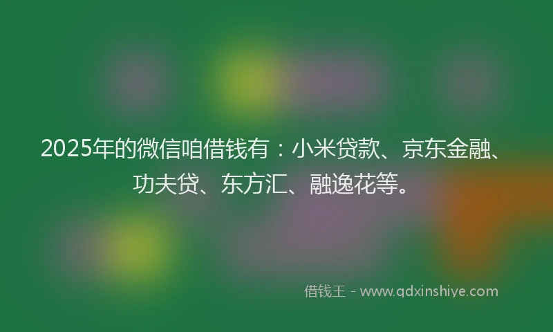 2025年的微信咱借钱有：小米贷款、京东金融、功夫贷、东方汇、融逸花等。