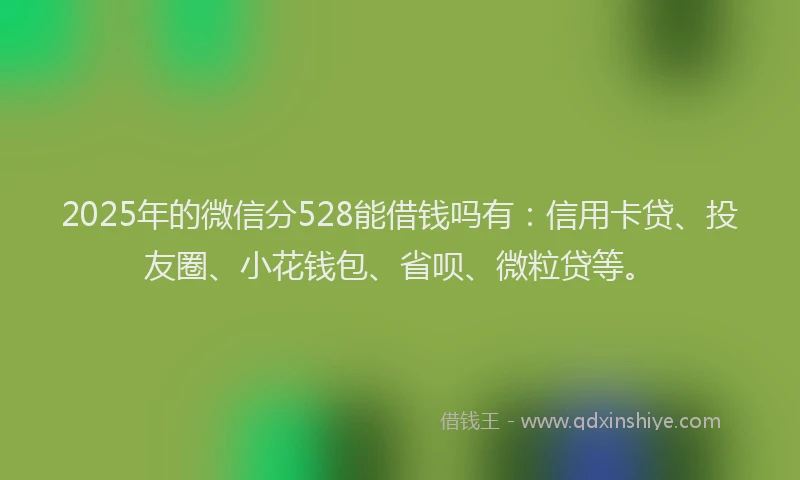 2025年的微信分528能借钱吗有：信用卡贷、投友圈、小花钱包、省呗、微粒贷等。