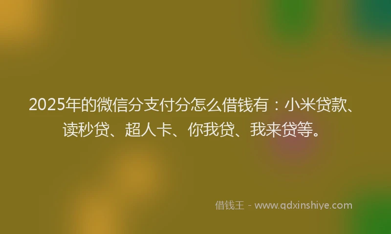 2025年的微信分支付分怎么借钱有：小米贷款、读秒贷、超人卡、你我贷、我来贷等。