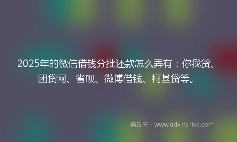 2025年的微信借钱分批还款怎么弄有：你我贷、团贷网、省呗、微博借钱、柯基贷等。