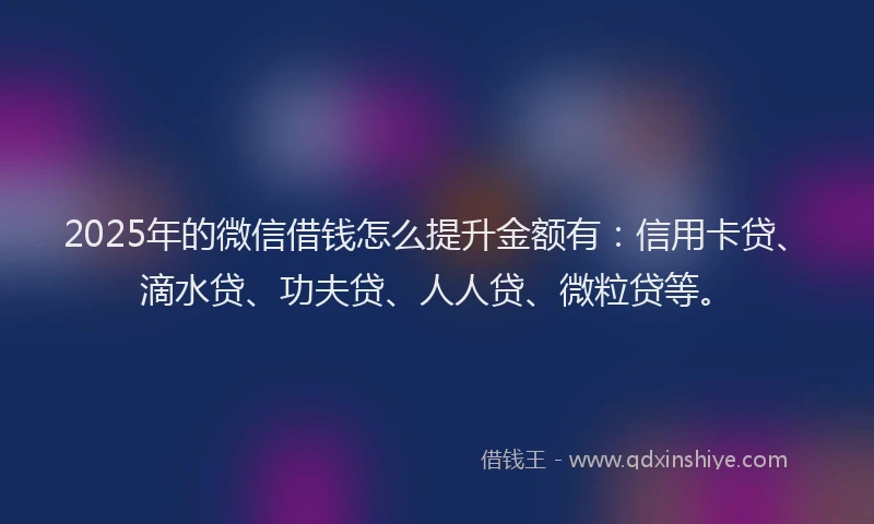 2025年的微信借钱怎么提升金额有：信用卡贷、滴水贷、功夫贷、人人贷、微粒贷等。