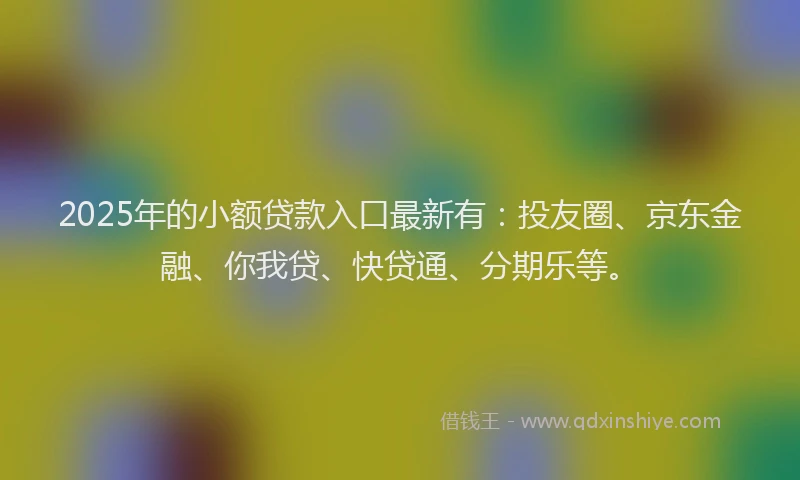 2025年的小额贷款入口最新有：投友圈、京东金融、你我贷、快贷通、分期乐等。